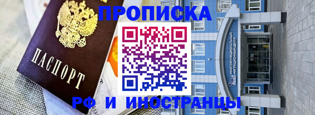 прописка законно в Камышине